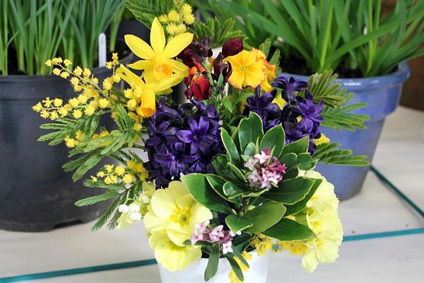 4. Vase of Spring blooms.jpg